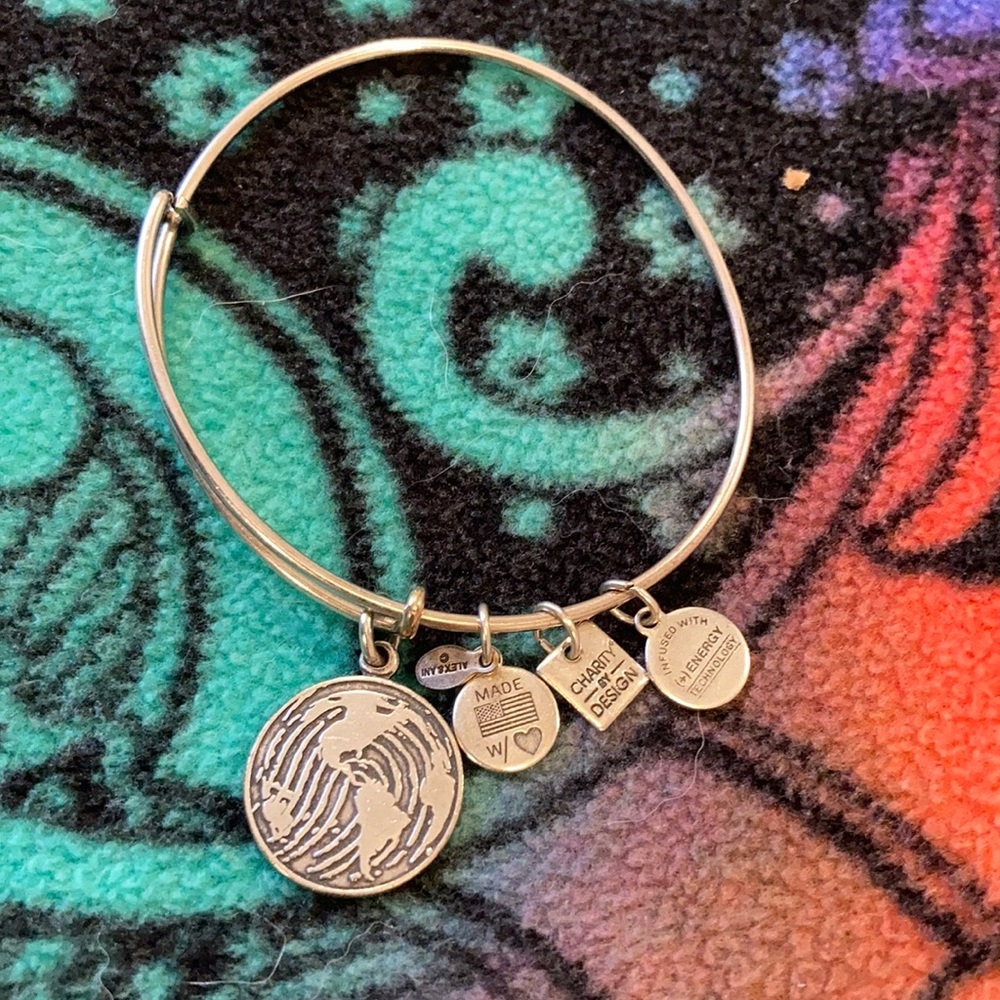 Alex & Ani Bangle Bracelet World Fingerprint